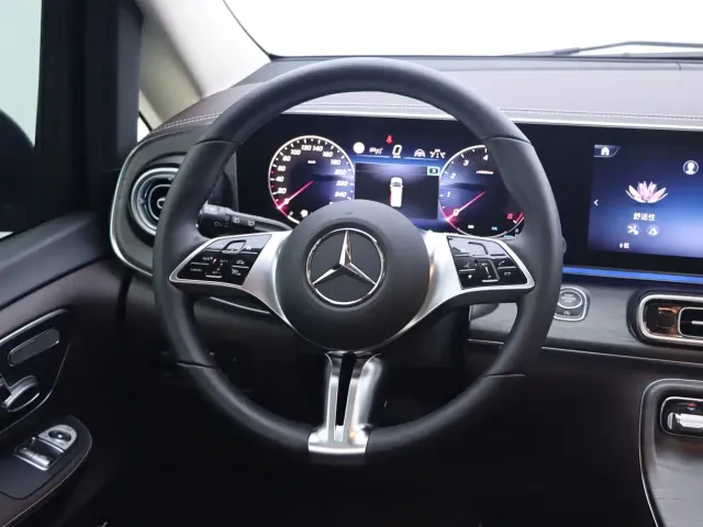 Mercedes-Benz V-Class — Фото автомобиля 23