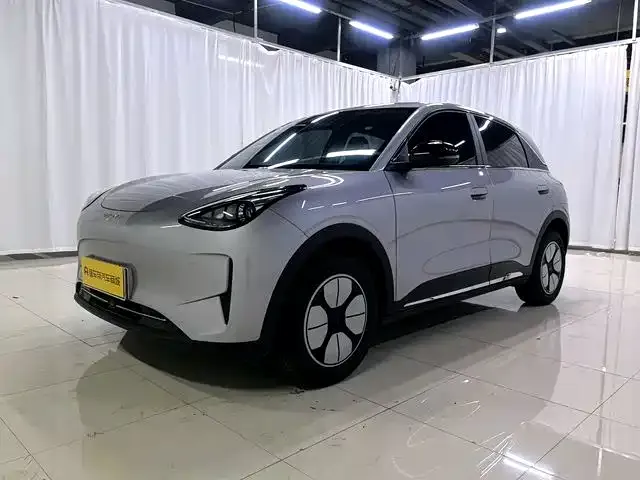 Фотография автомобиля — Geely Starry Wish