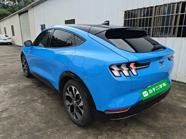 Ford Mustang Mach-E — Фото автомобиля 22