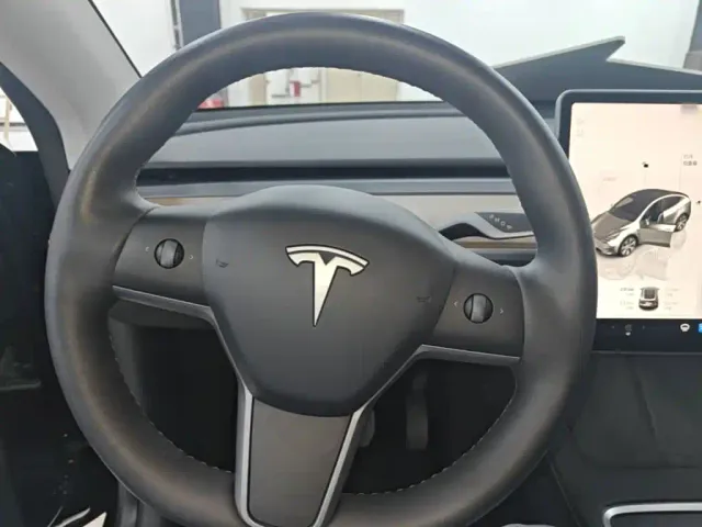 Tesla Model Y — Фото автомобиля 10