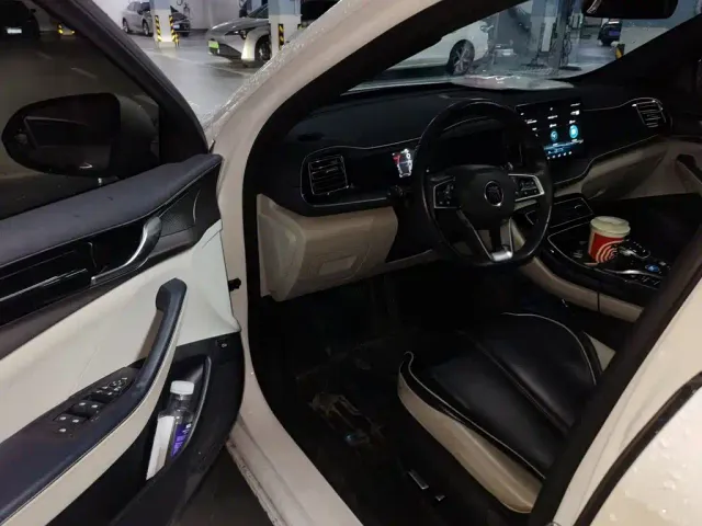 BYD Qin PLUS — Фото автомобиля 12