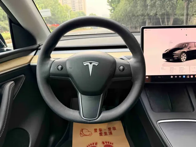 Tesla Model Y — Фото автомобиля 14