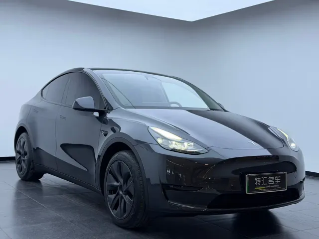 Tesla Model Y — Фото автомобиля 3