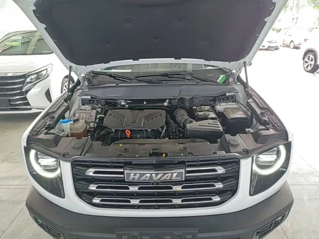 Haval Big Dog — Фото автомобиля 19