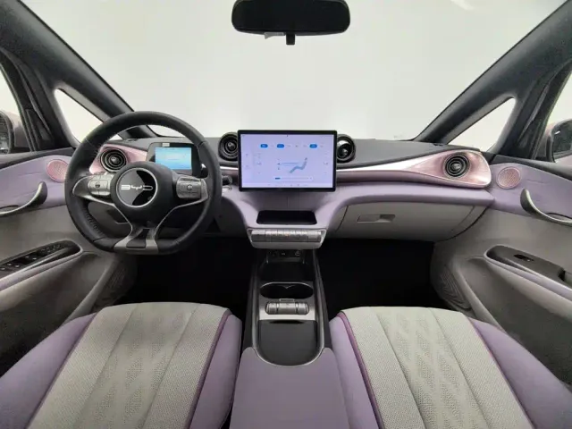 BYD Dolphin — Фото автомобиля 5