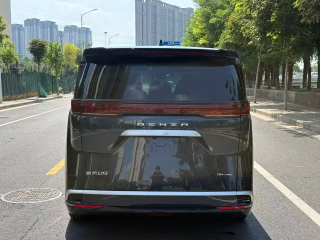 Denza D9 — Фото автомобиля 8