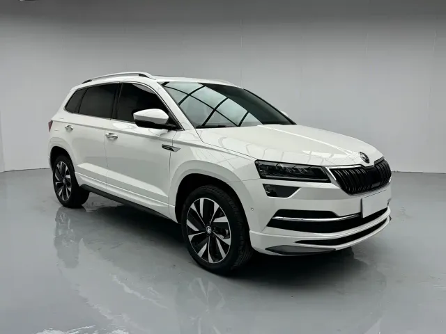 Skoda Karoq — Фото автомобиля 3