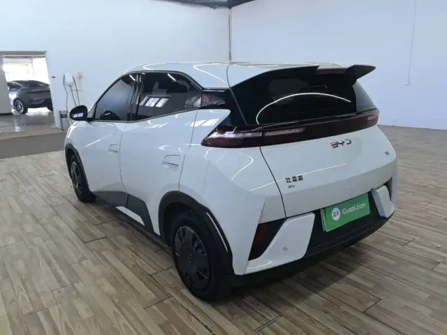 BYD Seagull — Фото автомобиля 4