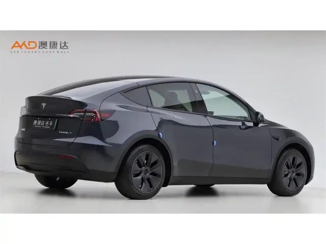 Tesla Model Y — Фото автомобиля 3