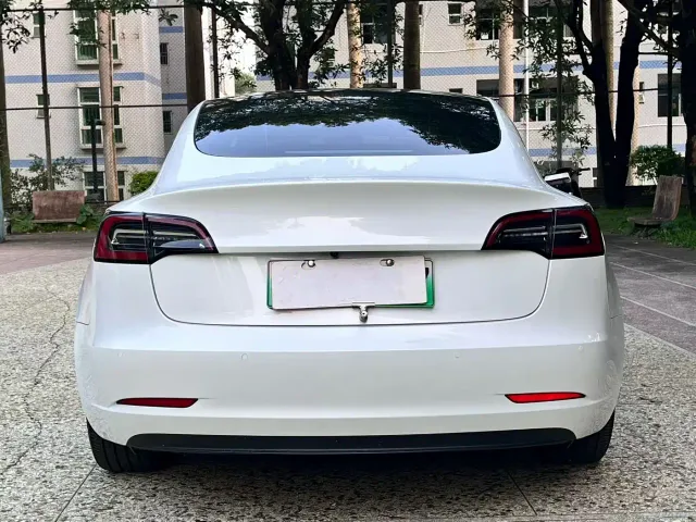 Tesla Model 3 2021 Standard Range Rear-Wheel Drive Upgrade — Фото автомобиля 8