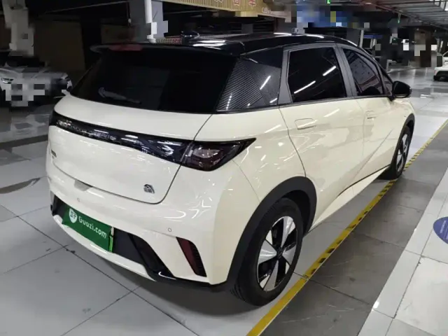BYD Dolphin — Фото автомобиля 6