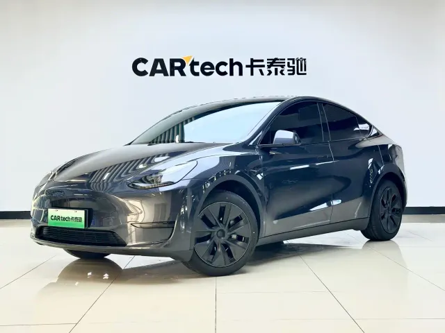 Tesla Model Y — Фото автомобиля 3