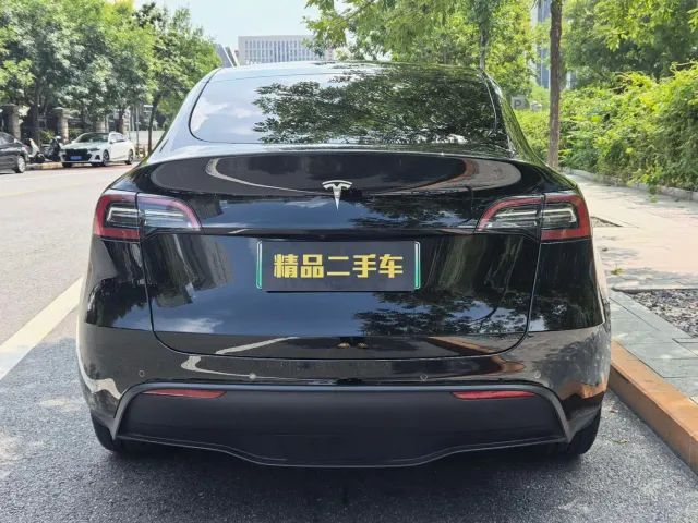 Tesla Model Y — Фото автомобиля 6