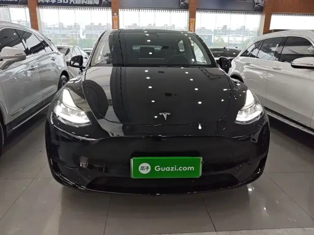 Tesla Model Y — Фото автомобиля 2