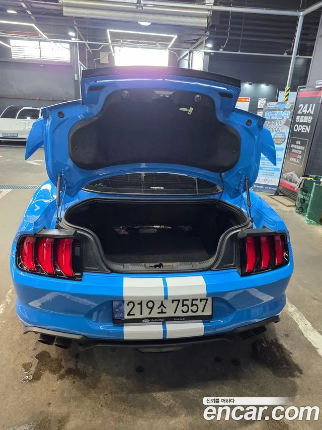 Ford Mustang — Фото автомобиля 11