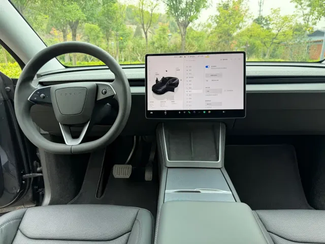 Tesla Model Y — Фото автомобиля 10