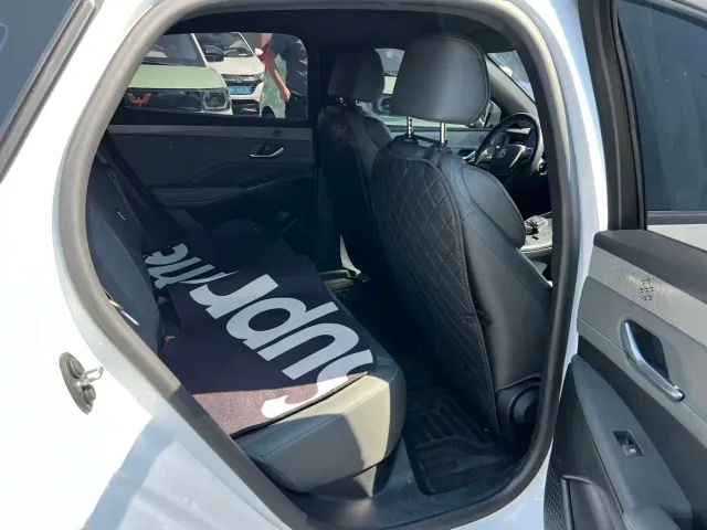 BYD Qin PLUS — Фото автомобиля 12