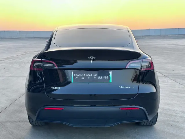 Tesla Model Y — Фото автомобиля 7