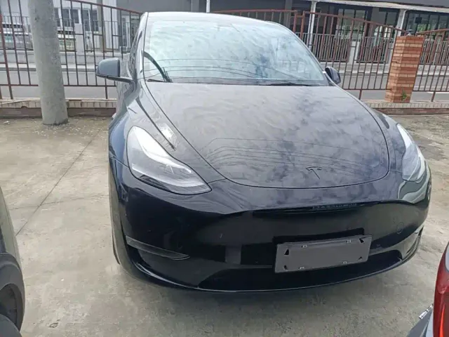 Tesla Model Y — Фото автомобиля 2