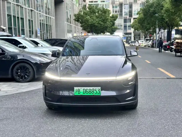 Tesla Model Y — Фото автомобиля 2