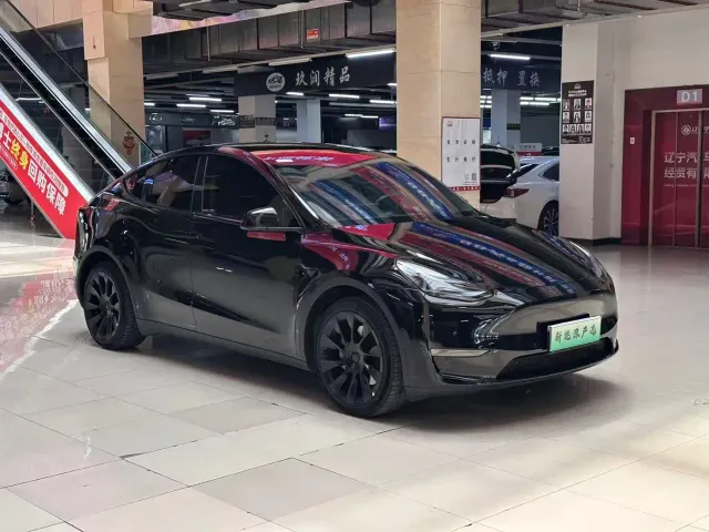 Tesla Model Y — Фото автомобиля 3