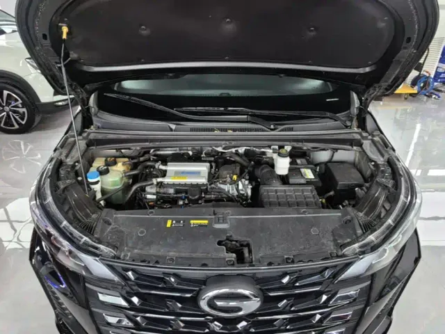 GAC Trumpchi M6 — Фото автомобиля 19