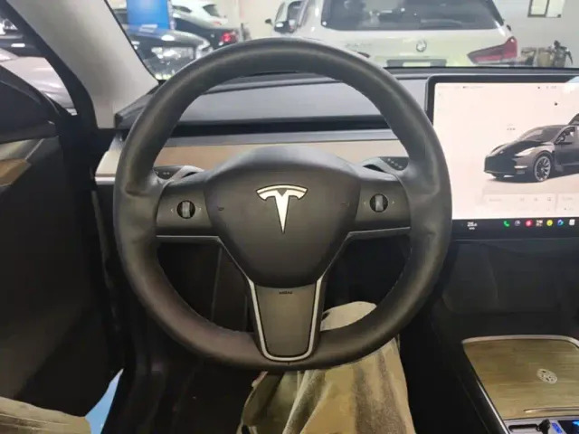 Tesla Model Y — Фото автомобиля 10
