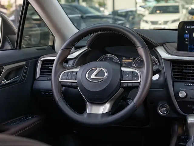 Lexus RX — Фото автомобиля 14