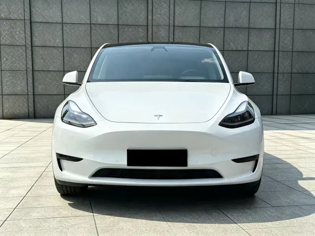 Tesla Model Y — Фото автомобиля 2