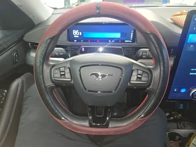 Ford Mustang Mach-E — Фото автомобиля 10