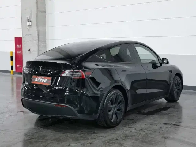 Tesla Model Y — Фото автомобиля 2