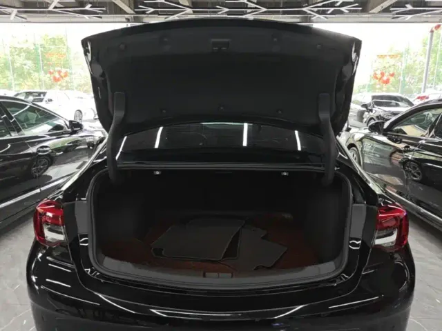 Buick Regal — Фото автомобиля 18