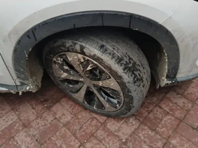BYD Song PLUS — Фото автомобиля 6