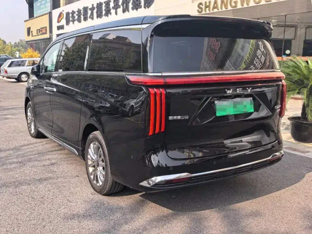 Wey Alpine — Фото автомобиля 10