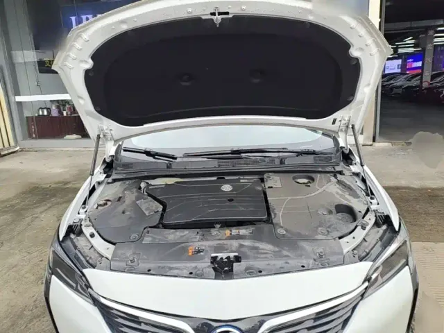 Buick Velite 6 — Фото автомобиля 19