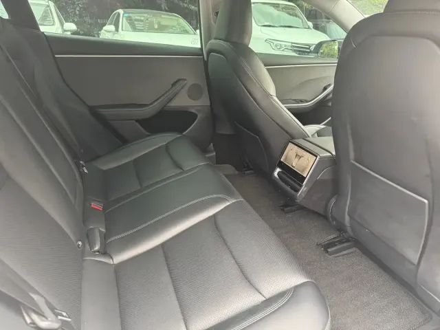Tesla Model 3 — Фото автомобиля 10
