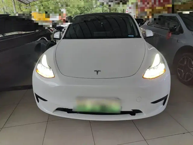 Tesla Model Y — Фото автомобиля 2