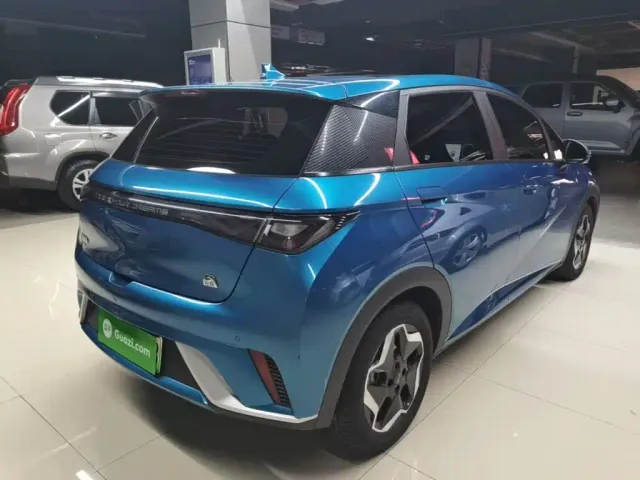 BYD Dolphin — Фото автомобиля 6