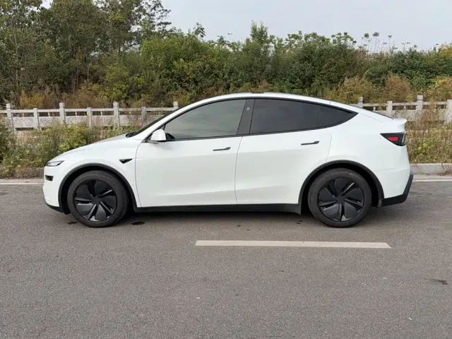 Tesla Model Y — Фото автомобиля 3