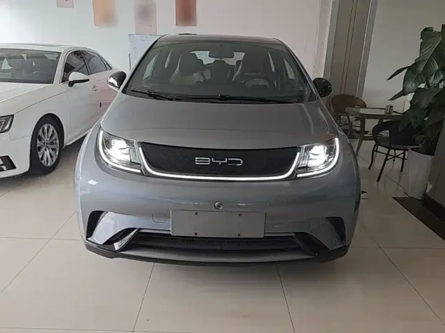 BYD Dolphin — Фото автомобиля 2