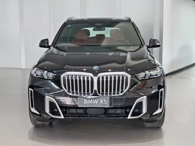 BMW X5 — Фото автомобиля 2