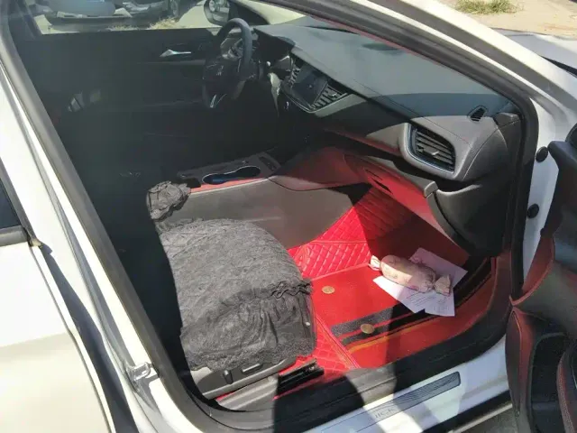 Buick Regal — Фото автомобиля 8