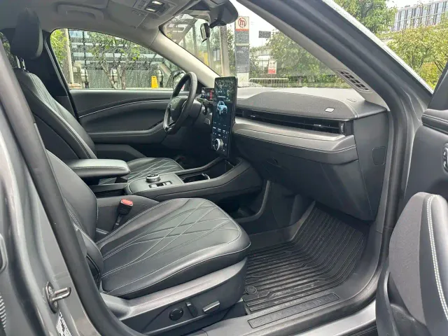 Ford Mustang Mach-E — Фото автомобиля 12
