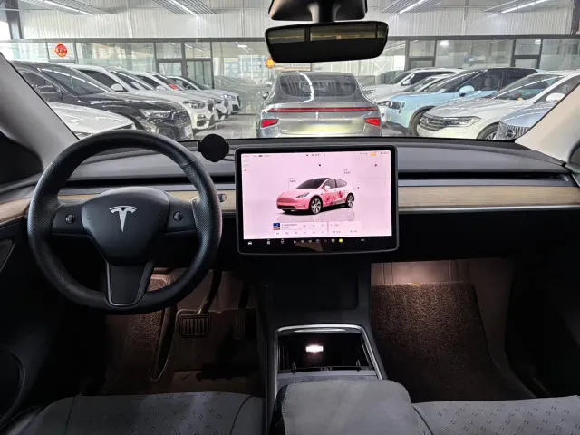Tesla Model Y — Фото автомобиля 6