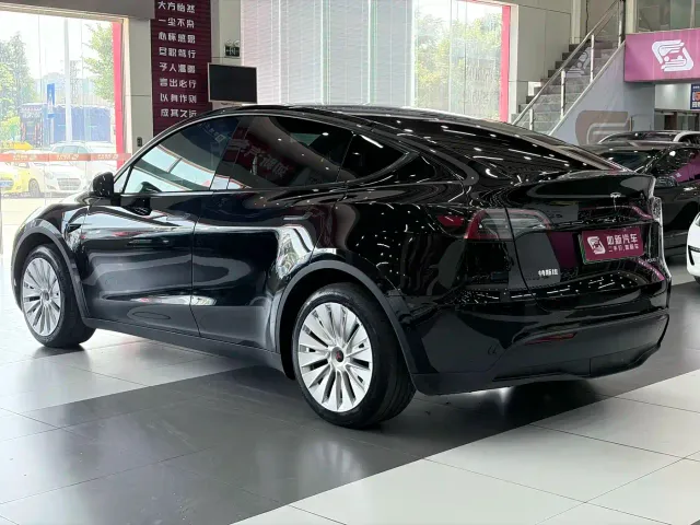 Tesla Model Y — Фото автомобиля 3