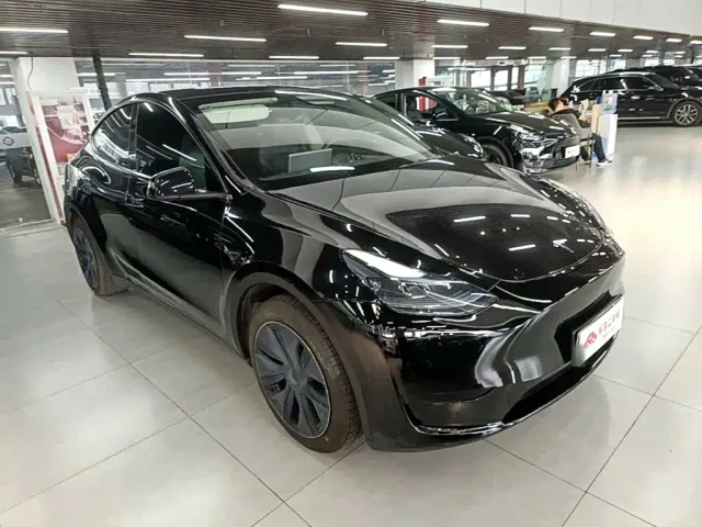 Tesla Model Y — Фото автомобиля 3