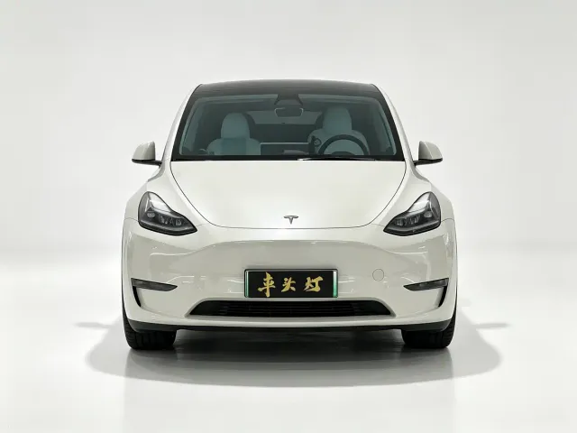 Tesla Model Y — Фото автомобиля 2