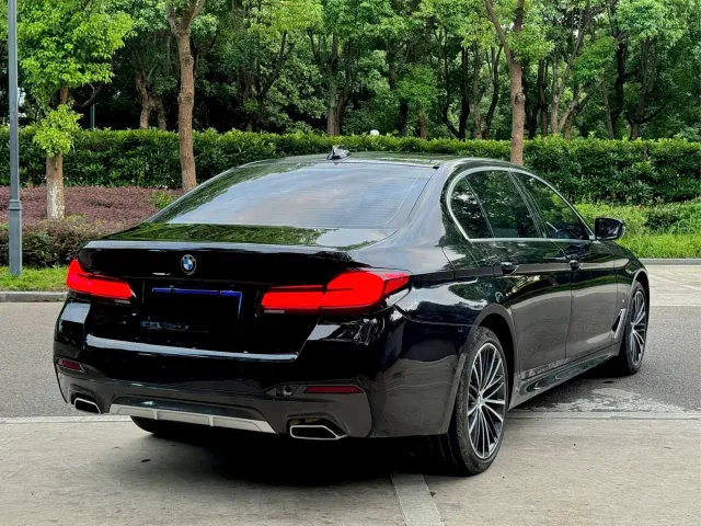 BMW 5 Series — Фото автомобиля 11