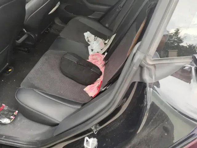 Tesla Model 3 — Фото автомобиля 11