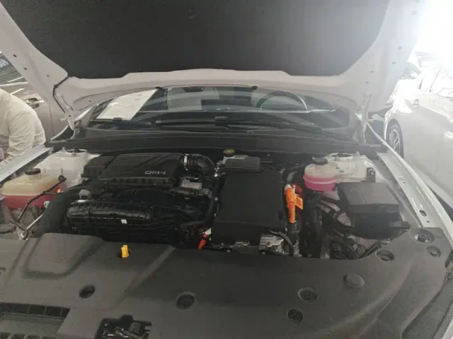 BYD Qin PLUS — Фото автомобиля 19